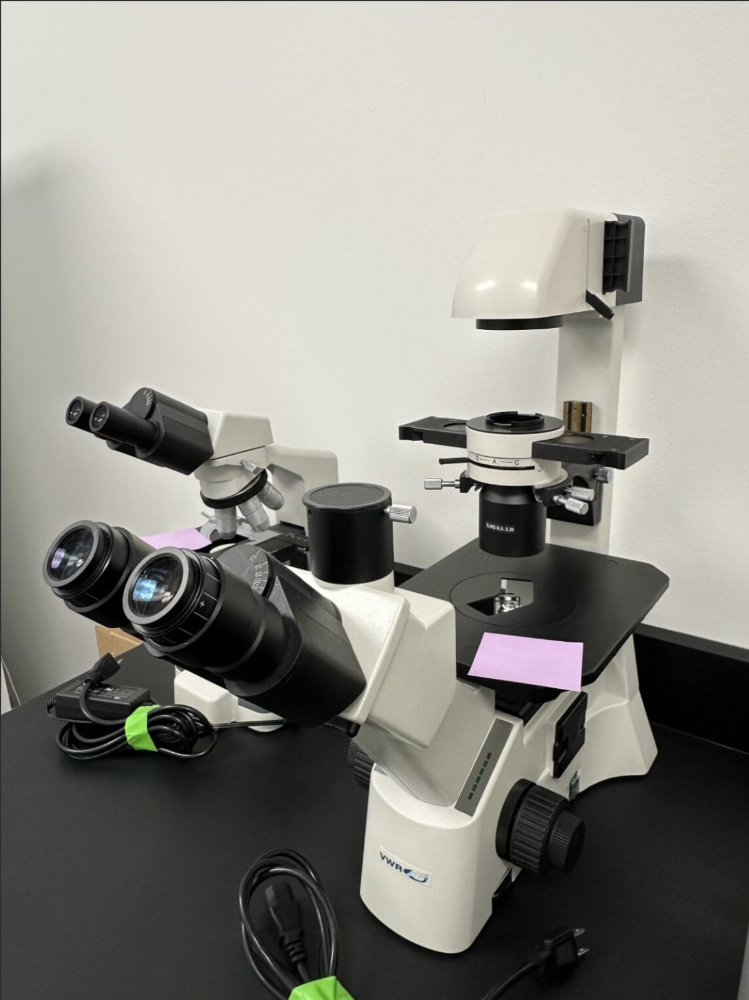 Image of VWR VistaVision Inverted Phase Contrast Microscope with Halogen Illumination